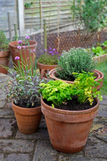 Plants for a Shallow Garden Bed | Hunker