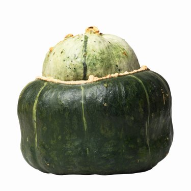 buttercup squash pictures