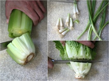 Cutting vegetable scraps for regrowth