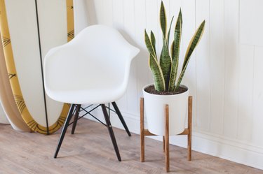Building a Midcentury Plant Stand