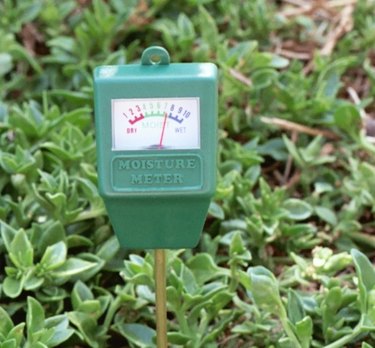 How To Use Your New Moisture Meter — Plant Care Tips and More · La