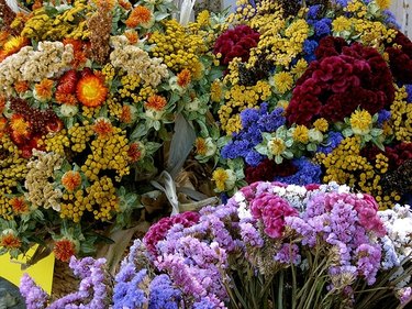 Caring for Dried Flowers: The Dos and Don'ts, Dry Flowers