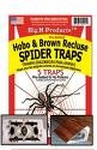 How To Get Rid Of Brown Recluse Spiders Quickly Hunker