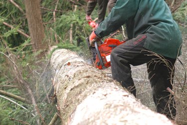 Stihl deals 015l chain