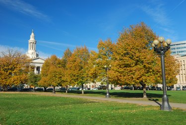 Civic Center Park, Denver