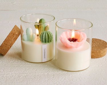 succulent candles