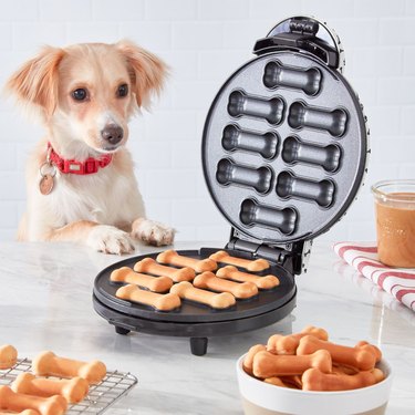 best gifts for dogs 2022