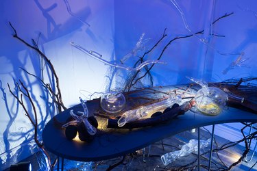 Branches, glass-blown claws and other glass works, and nests inserted with smells sitting on a curved table. The table is surrounded by dried vines and enveloped in blue light.