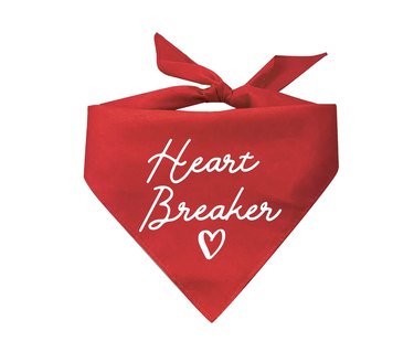 heart breaker dog bandana
