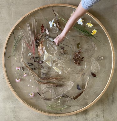 A glass platter featuring different materials gathered from around Singapore, including flowers, leaves, incense, grass, and other plant matter.