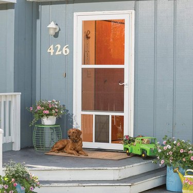 A storm door on a blue house with a dog on the front porch