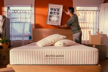 avocado green eco mattress