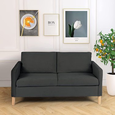 gray couch in neutral living room with plant