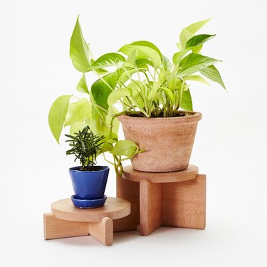 A 2-tier plant pedestal with a plant on each tier