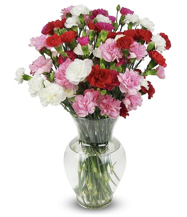 Benchmark Bouquets Rainbow Mini Carnations Bouquet, $36.17