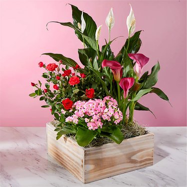 FTD valentine's day flower delivery