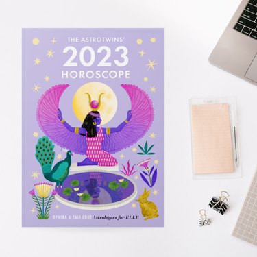 The AstroTwins' 2023 Horoscope Book