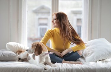 woman wearing outside clothes like jeans in bed with dog