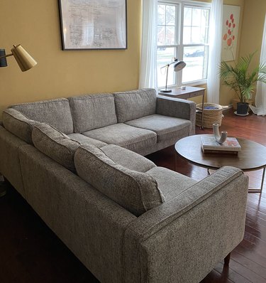 A gray sectional in a yellow living room with a round coffee table; a palm tree in the corner