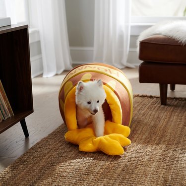 Chewy Disney Winnie the Pooh Honey Pot Covered Cat and Dog Bed