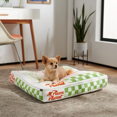 Chewy Pixar Toy Story's Pizza Planet Pillow Dog and Cat Bed