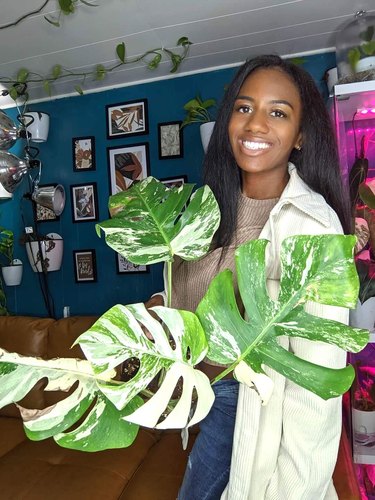 A Black woman with long black hair holding a plant in front of a blue-painted gallery wall.