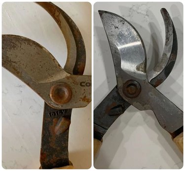 Before-and-after photo of clean gardening shears