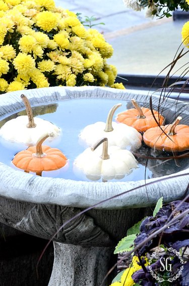 birdbath with floating miniature pumpkins