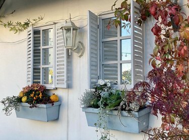 fall-themed window boxes