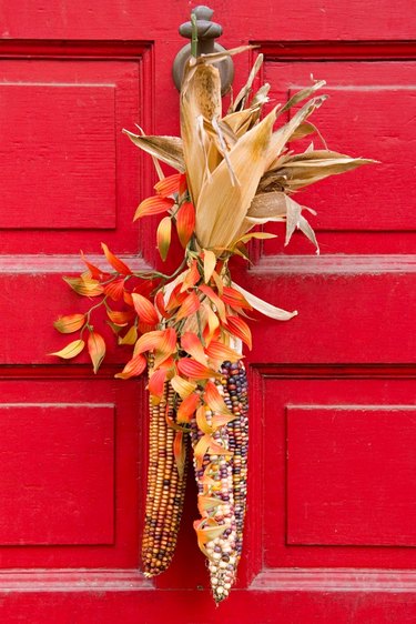 red door with ornamental corn