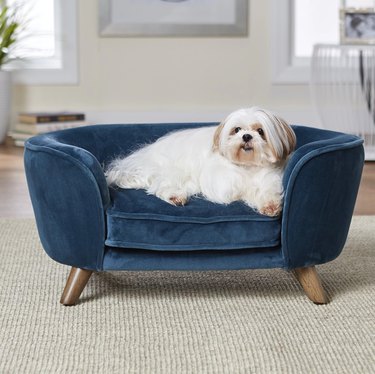 blue velvet dog sofa