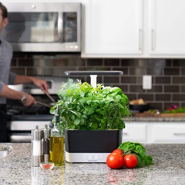 the best indoor herb gardens and growers on amazon