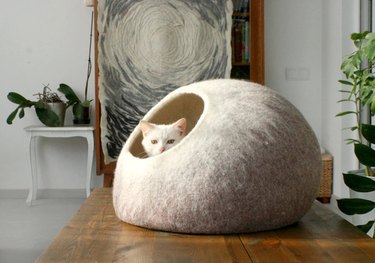 modern cat furniture