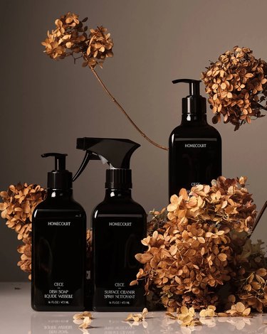 cleaning products in black packaging