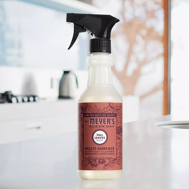 Mrs. Meyers Clean Day Fall Leaves Multi-Surface Cleaner Spray