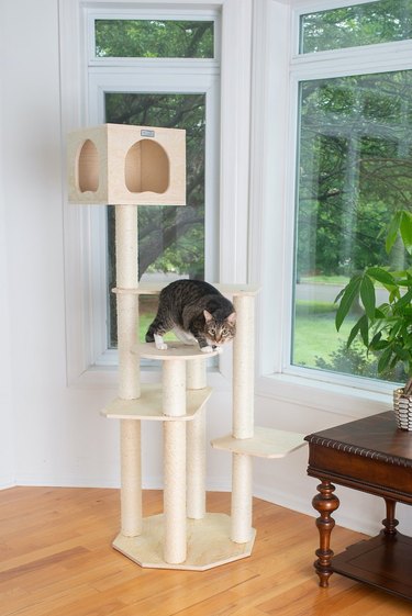 Armarkat 60-Inch Real Wood Wooden Cat Tree & Condo