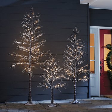Skinny Christmas trees that are lit up on a front porch