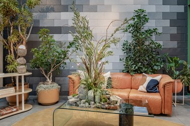 living room with plants and brown furniture