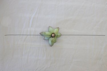 Floral wire inserted horizontally through succulent stem