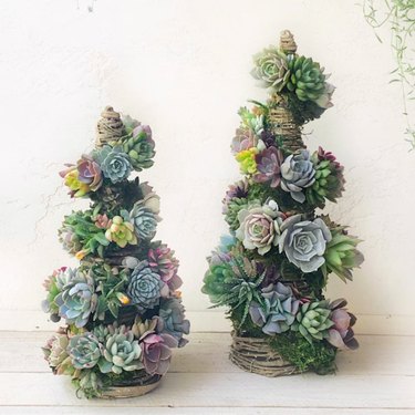 Style it up with some succulents.