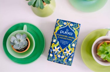 overhead photo of succulents in mugs and pukka tea package
