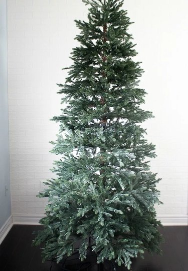 A bare Christmas tree