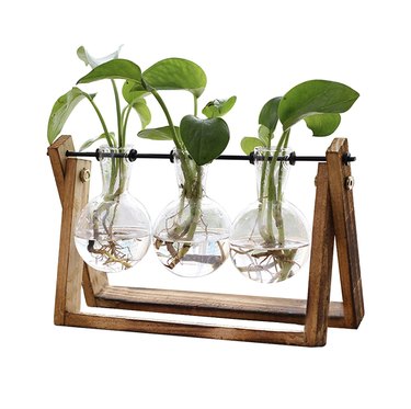 terrarium with wood stand