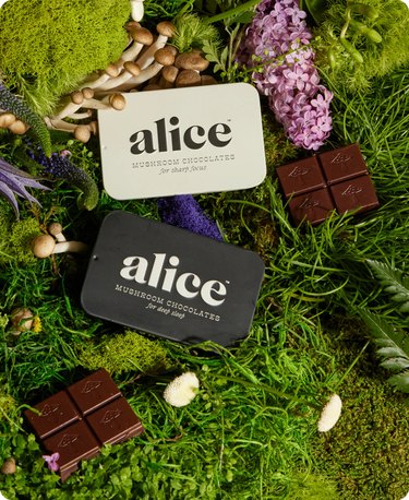 Alice The Duo Mushroom Chocolate