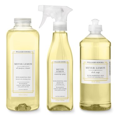 williams sonoma cleaning kit