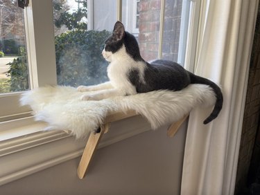fluffy window perch for cat