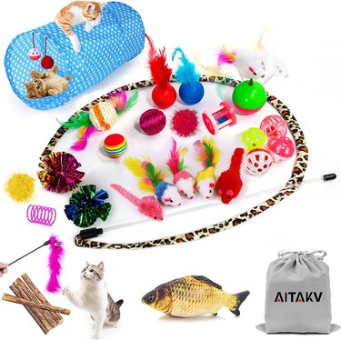 assorted colorful cat toys