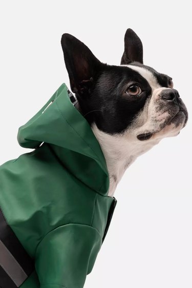 Urban Outfitters Silver Paw Dog Reflective Raincoat