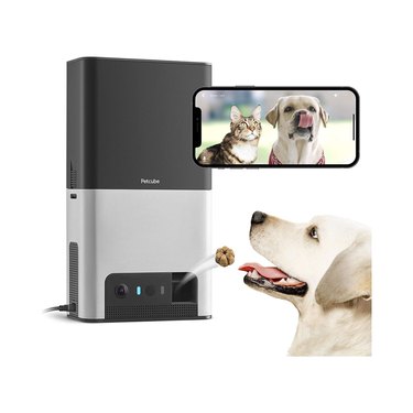 Petcube Bites 2 Wi-Fi Pet Camera With Treat Dispenser