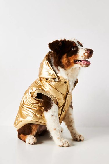 Found My Animal Dog Puffer Coat